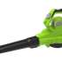 Воздуходувка GREENWORKS BL3000, зеленый [2406507]